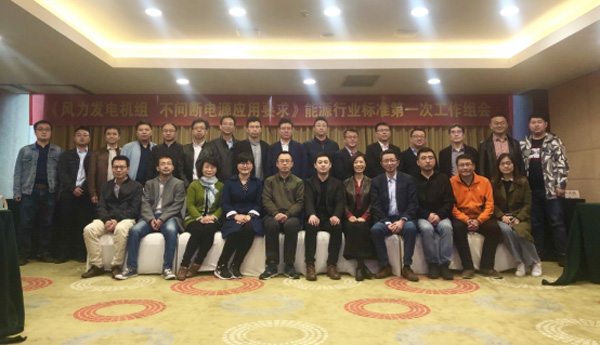 腾龙国际平台风电主持体例的首个能源行业标准启动会在杭召开