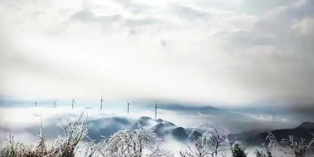 腾龙国际平台(中国区) - 官方网站
